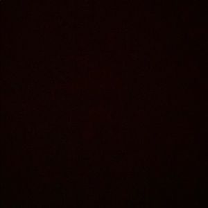 Meet your Posher, Bella